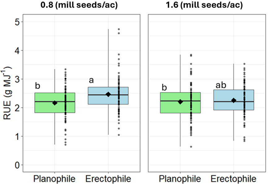 Boxplots showing radiation use efficiency (RUE, g MJ⁻¹) for Planophile and Erectophile wheat canopy types at two seeding rates: 0.8 and 1.6 million seeds per acre. At the lower seeding rate, Erectophile has significantly higher RUE (~2.5–3.0) than Planophile (~2.0–2.5). At the higher seeding rate, the difference narrows, with Erectophile slightly higher but overlapping with Planophile. Letters (a, b, ab) mark statistical groupings.